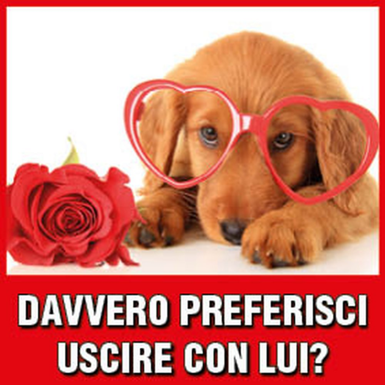 San Valentino con le Simpatiche Zampette, mandaci la foto con il tuo amico a 4 zampe