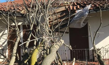 Tempesta Ciara, tanti danni nel torinese LE FOTO