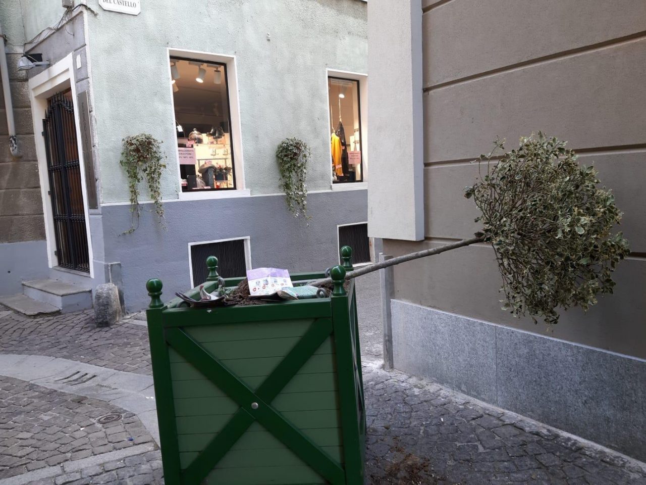 Vasi di piante distrutti dai vandali a Chivasso