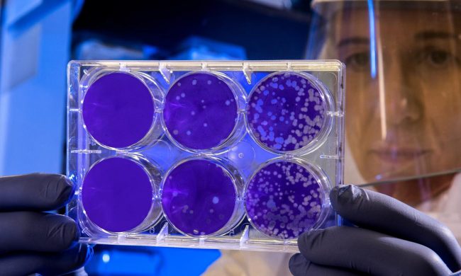 Coronavirus, cinque decessi in Piemonte e 166 persone positive IL VIDEO
