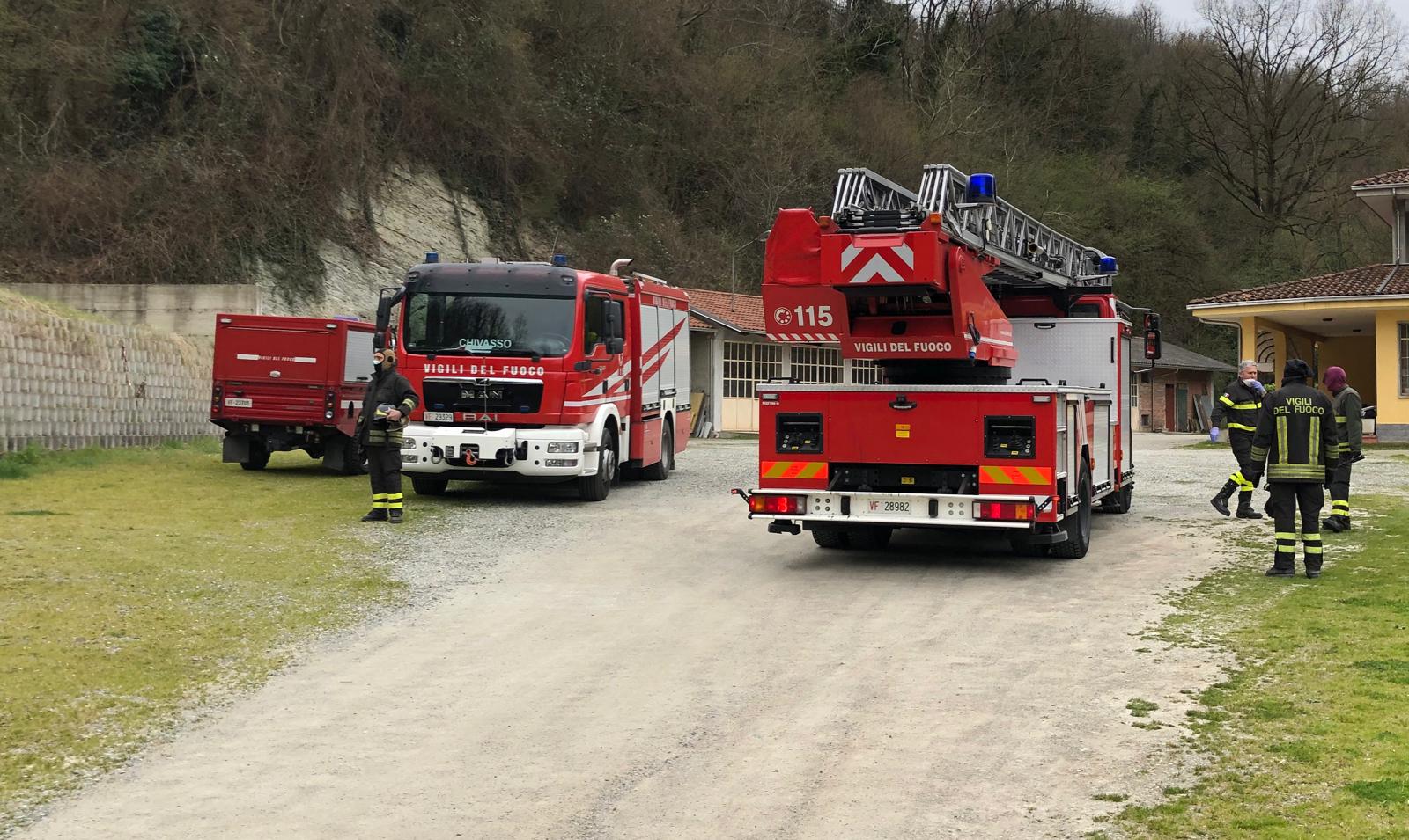 Gatto fugge nel bosco, recuperato dai vigili del fuoco - Prima Chivasso