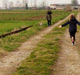 Passeggiate pure ma non in Piemonte, Cirio: “Regole restrittive”