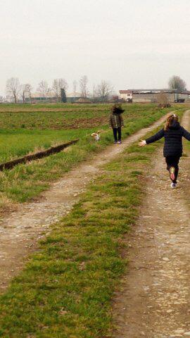 Passeggiate pure ma non in Piemonte, Cirio: “Regole restrittive”