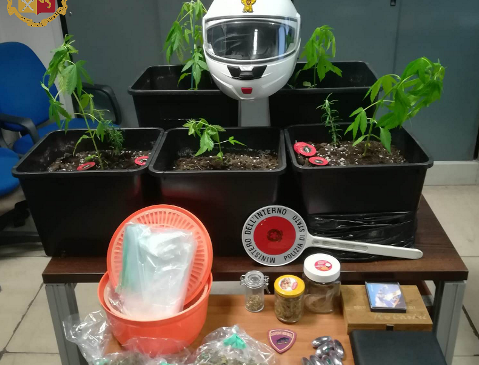 Piantine di marijuana sul balcone, arrestato