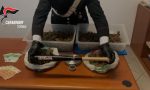 Barista di Chivasso arrestato per spaccio di marijuana