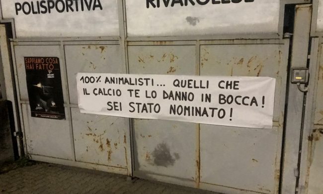 Striscione contro il ragazzo che ha ucciso a calci il riccio