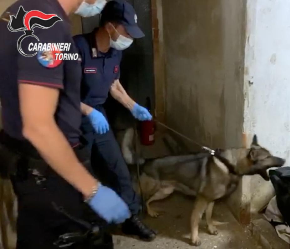 Scoperto fortino della droga difeso dalla telecamere: pusher arrestato