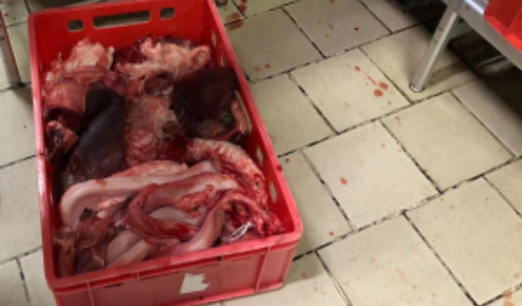 Sporco e cibo mal conservato in macelleria: maxi multa
