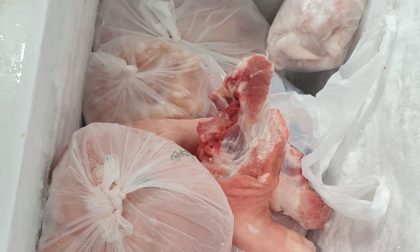 Sequestrati 134 kg di carne e 8 kg di pesce mal conservati