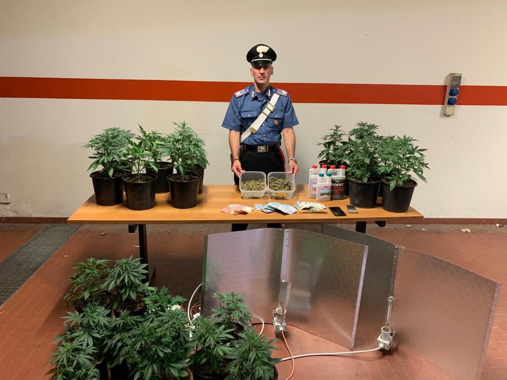 Barattoli di marijuana nascosti tra le spezie: arrestato produttore droga “km0”