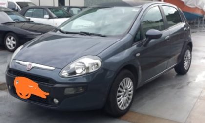 Rubata una Fiat Punto Evo, si cerca tra il Vercellese e Torinese
