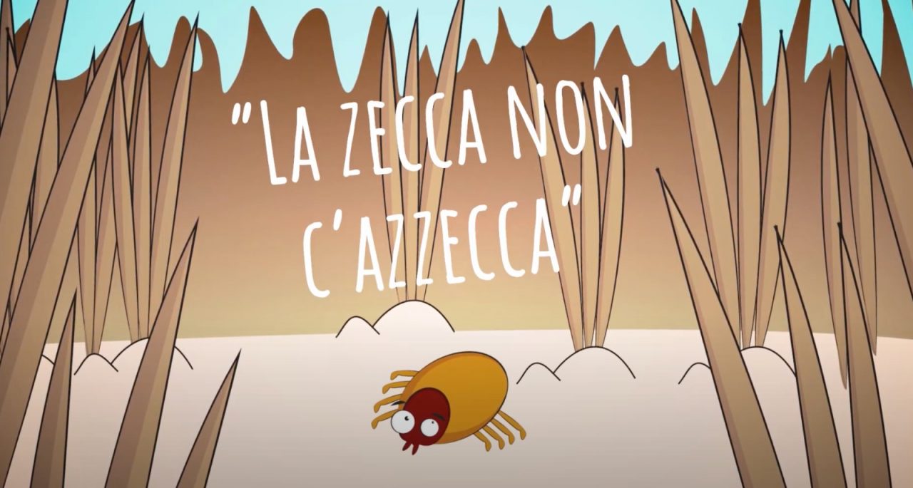 Un filmato per difendersi dagli insetti… fastidiosi