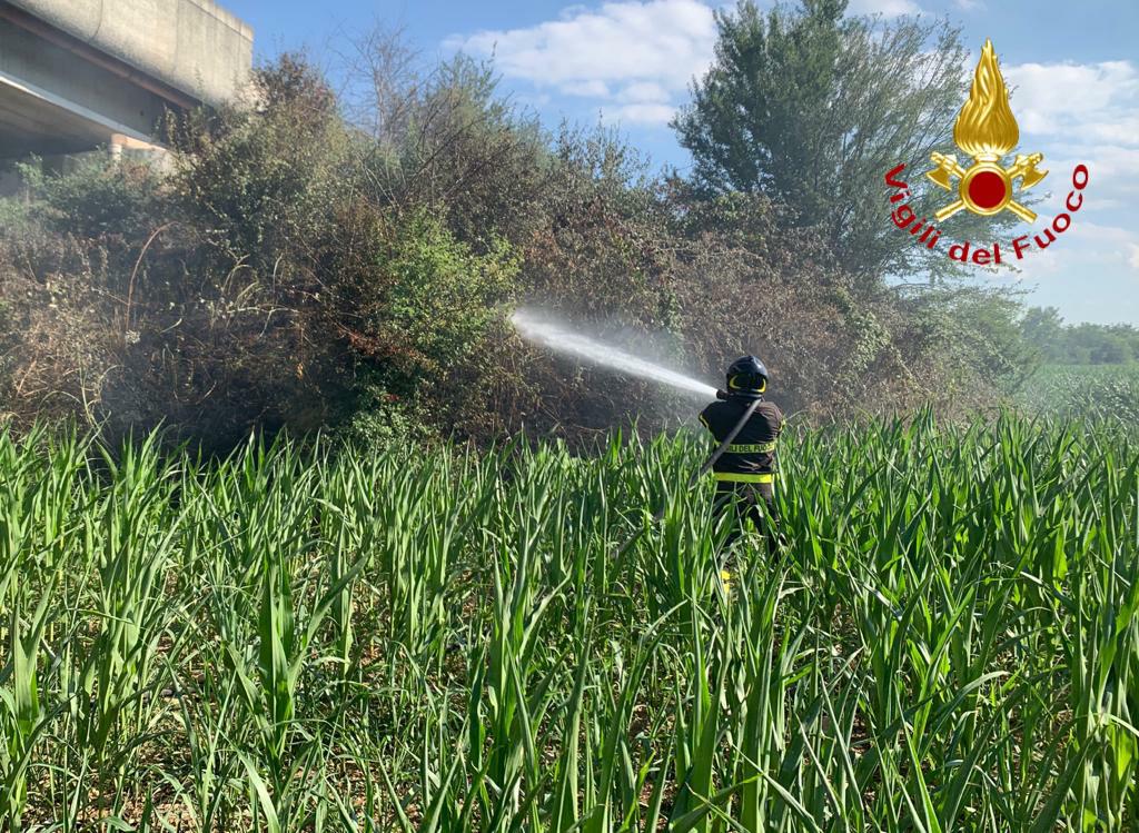 Incendio lungo l’autostrada A4, sul posto i Vigili del Fuoco