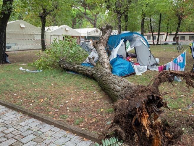 Albero si abbatte sulla tenda di una famiglia di Torino: morte due bambine