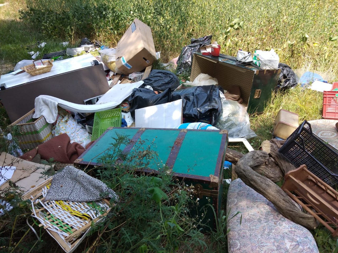 Tra i rifiuti abbandonati spunta anche un documento