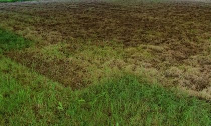 Calcio, Testore: "Il campo di Saluggia è in condizioni pietose" LE FOTO