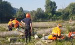 Amici del Po e Aib tagliano gli alberi sradicati