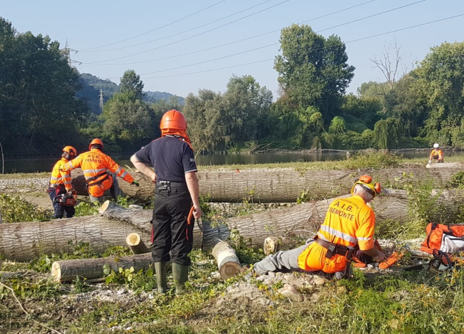 Amici del Po e Aib tagliano gli alberi sradicati