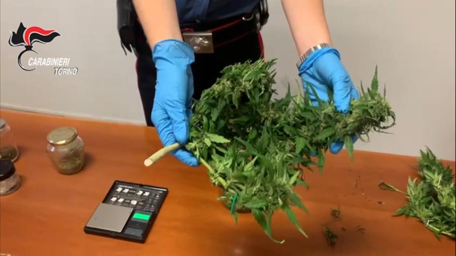 Papà e due figli spacciavano hashish e marijuana
