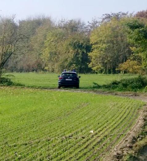 Cadavere carbonizzato trovato in un campo