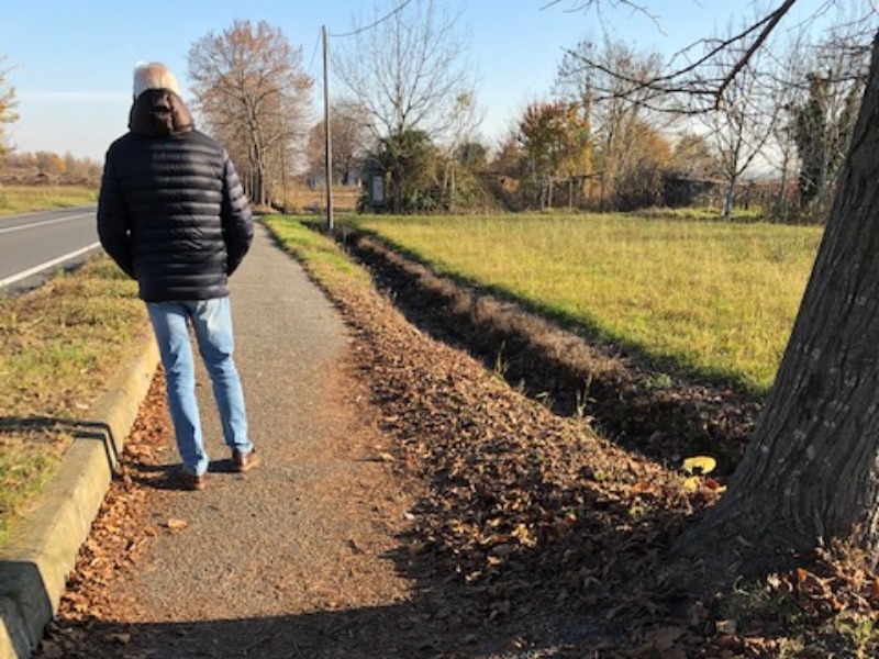 La pista pedonabile nel degrado… tra erbacce e radici che emergono