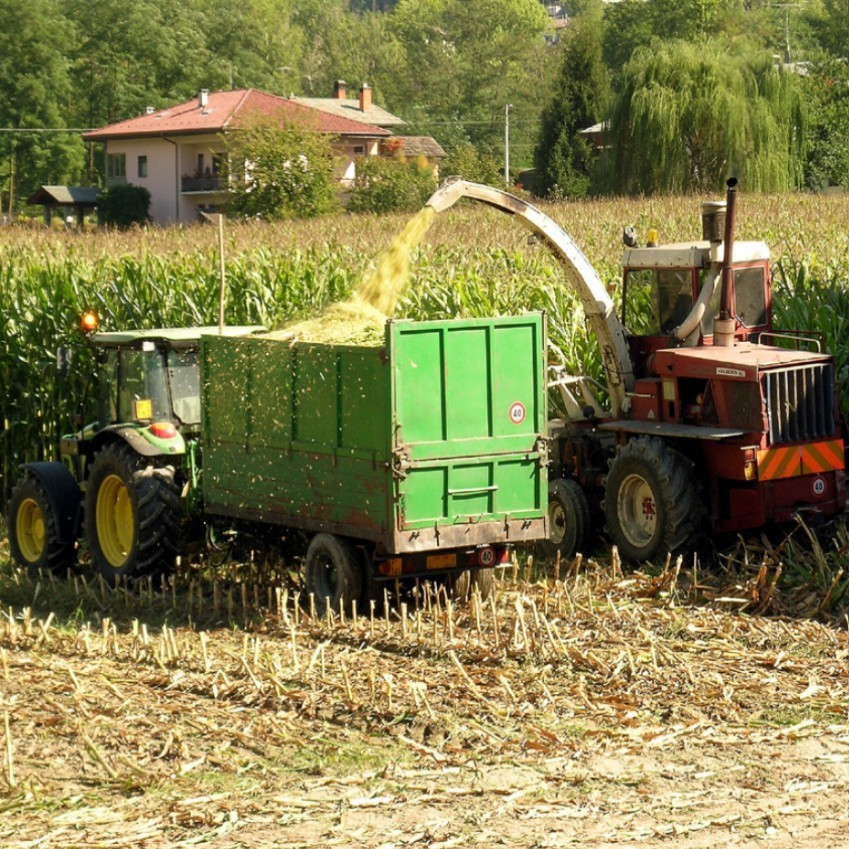 Covid, aiuti per il mondo agricolo dalla Regione