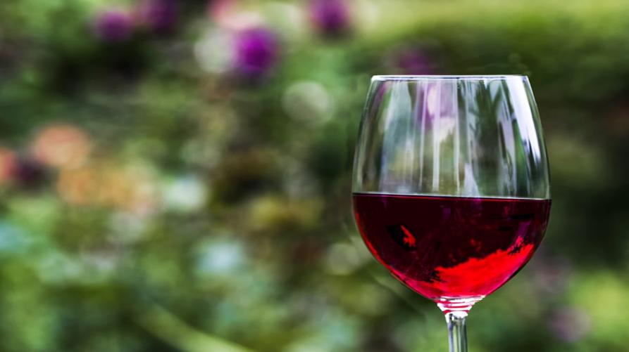 La Regione in campo per promuovere il vino