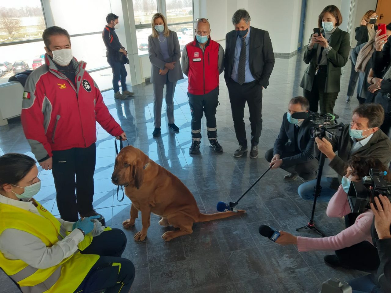 All’aeroporto arrivano i cani anti Covid LE FOTO