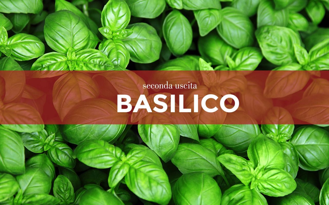 Tutti ortisti, da oggi mercoledì 24 in edicola con la Nuova Periferia i semi di basilico