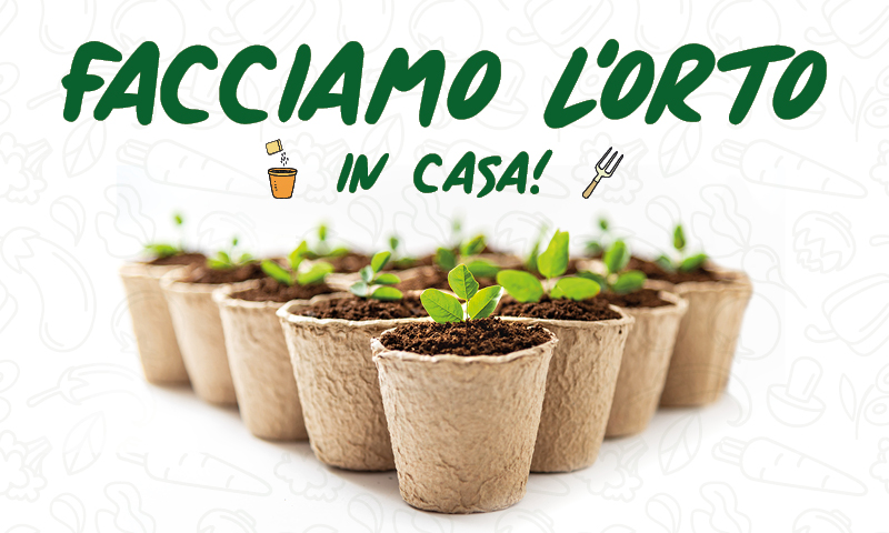 Facciamo l’orto in casa! In regalo con la Nuova Periferia