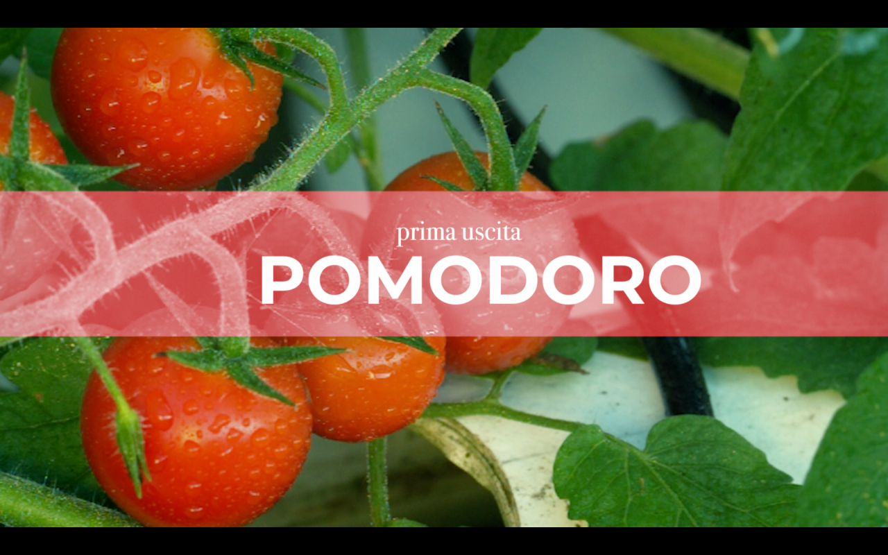 I nostri consigli: attenzione al freddo e all’acqua, ricordatevi il tutore e la potatura