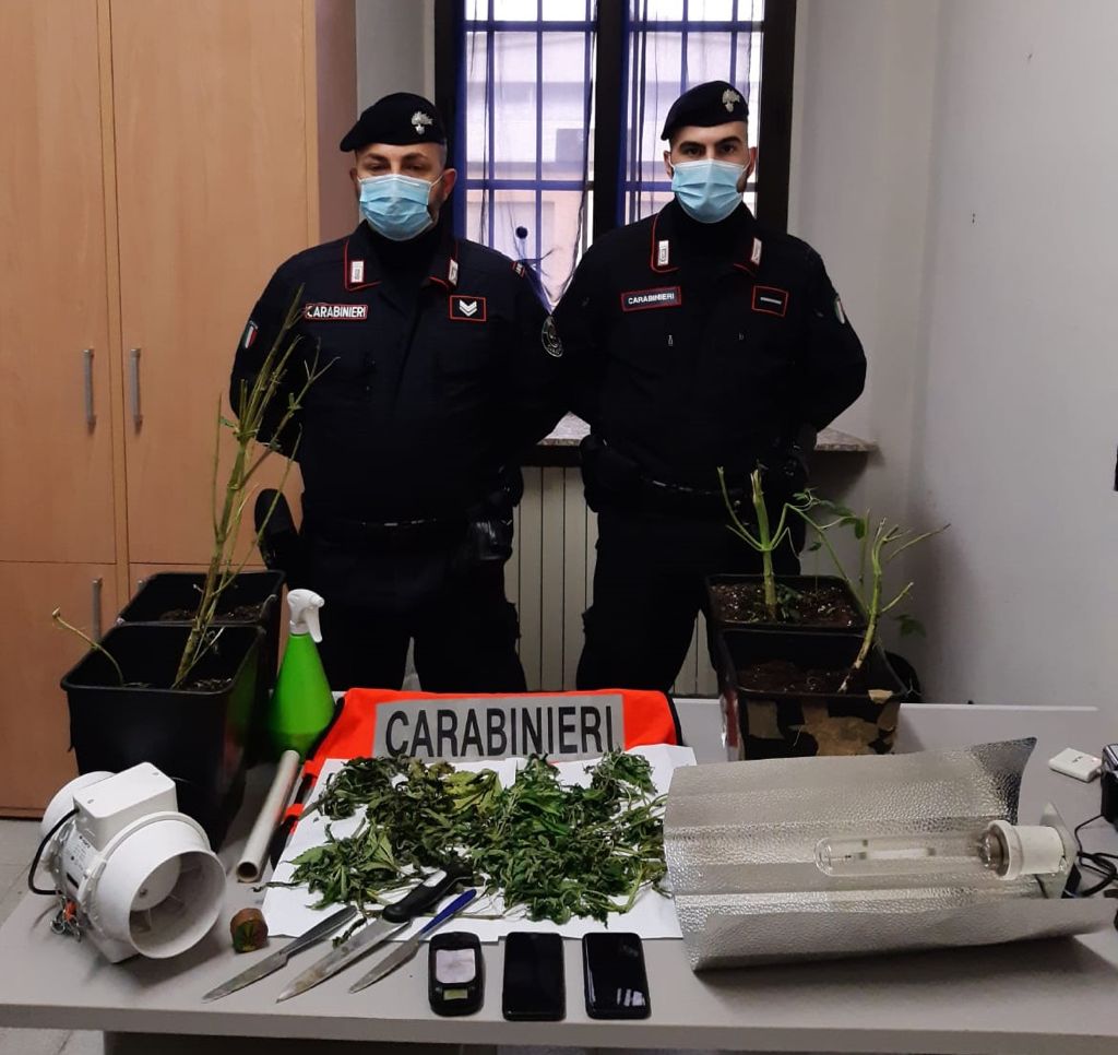 Coltiva marijuana in casa e minaccia i Carabinieri, denunciato