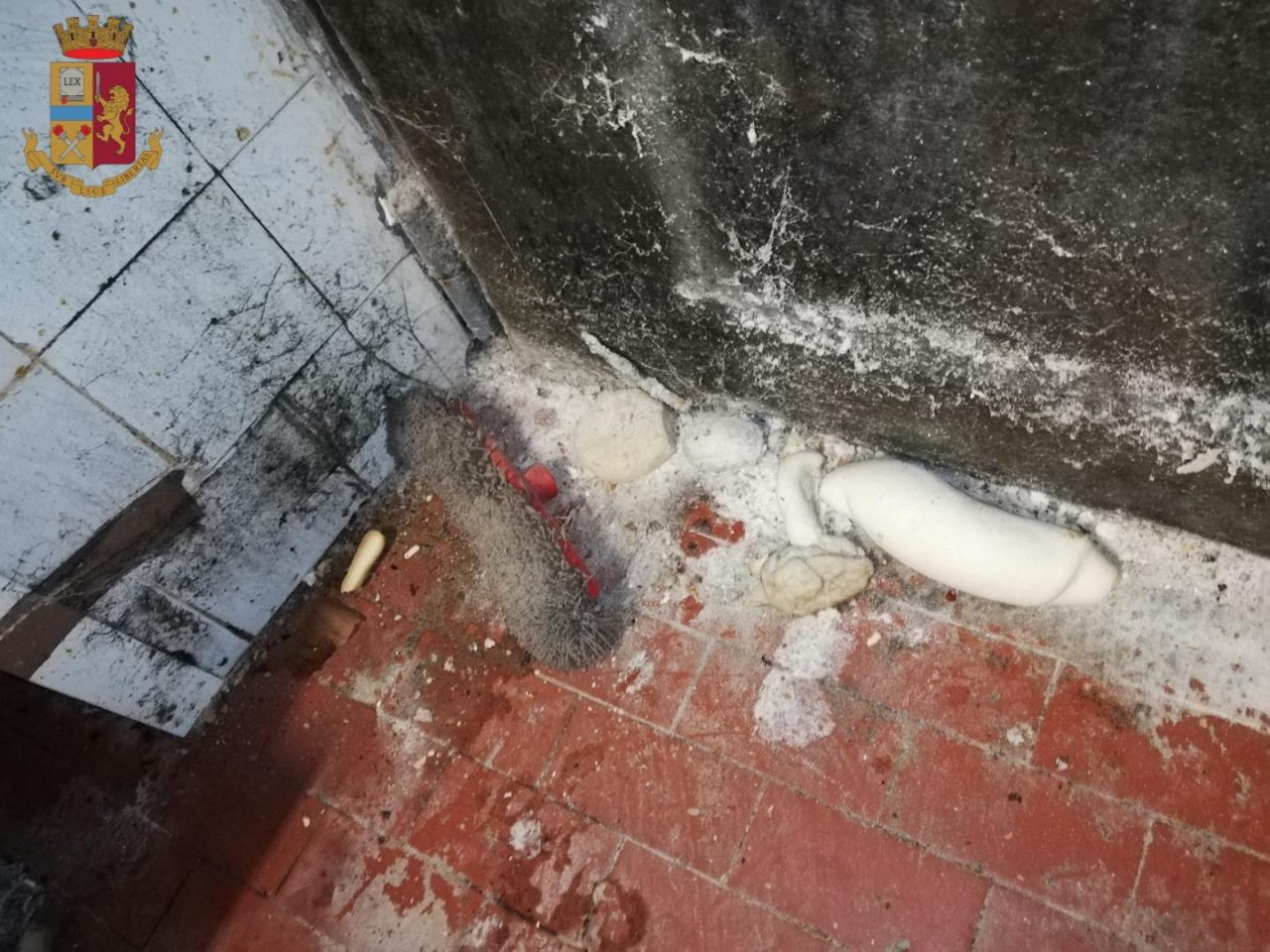 Panificio degli orrori chiuso, c’erano blatte e larve nei prodotti LE FOTO