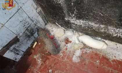 Panificio degli orrori chiuso, c'erano blatte e larve nei prodotti LE FOTO