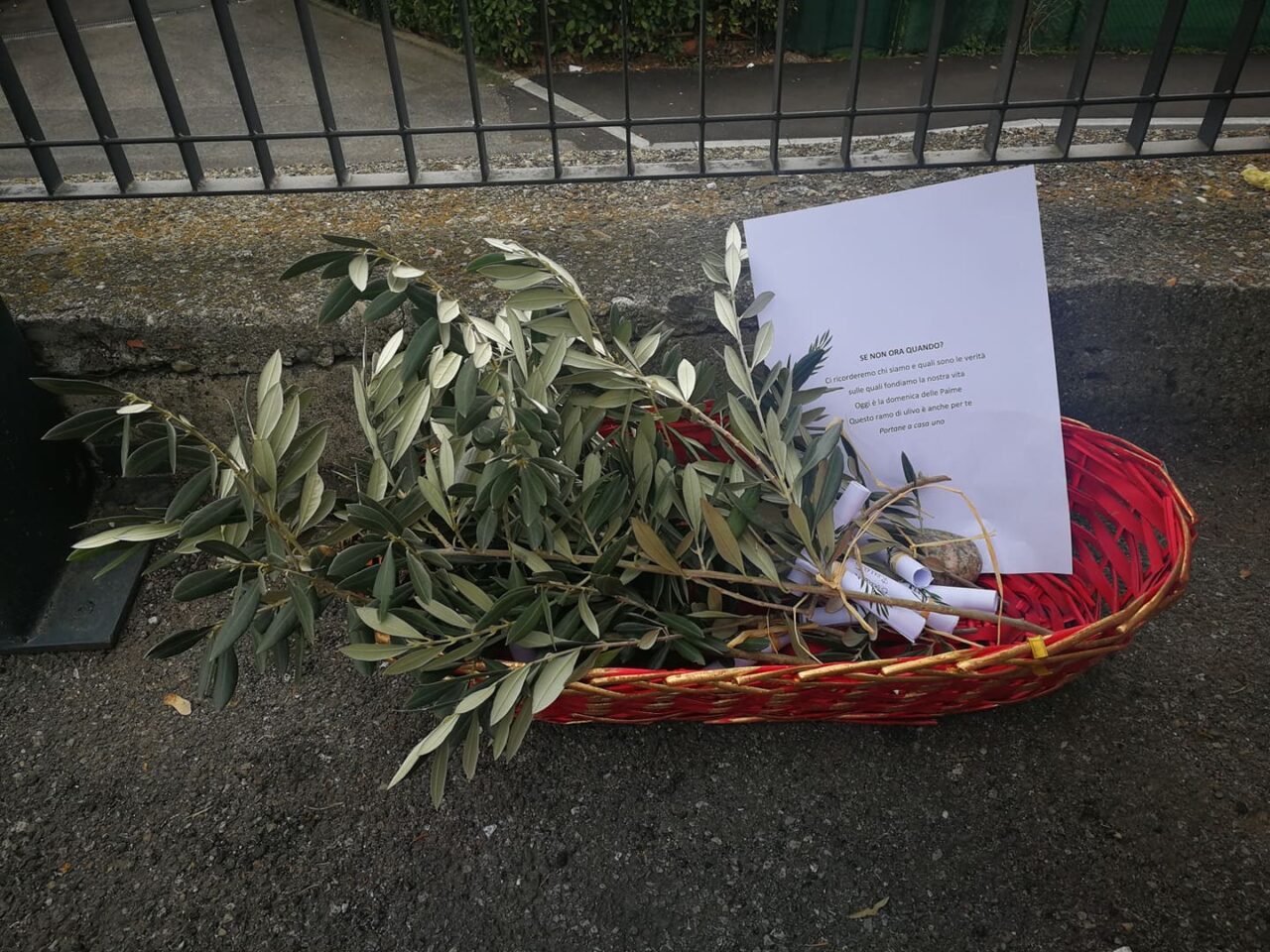Rami d’ulivo benedetti consegnati a casa