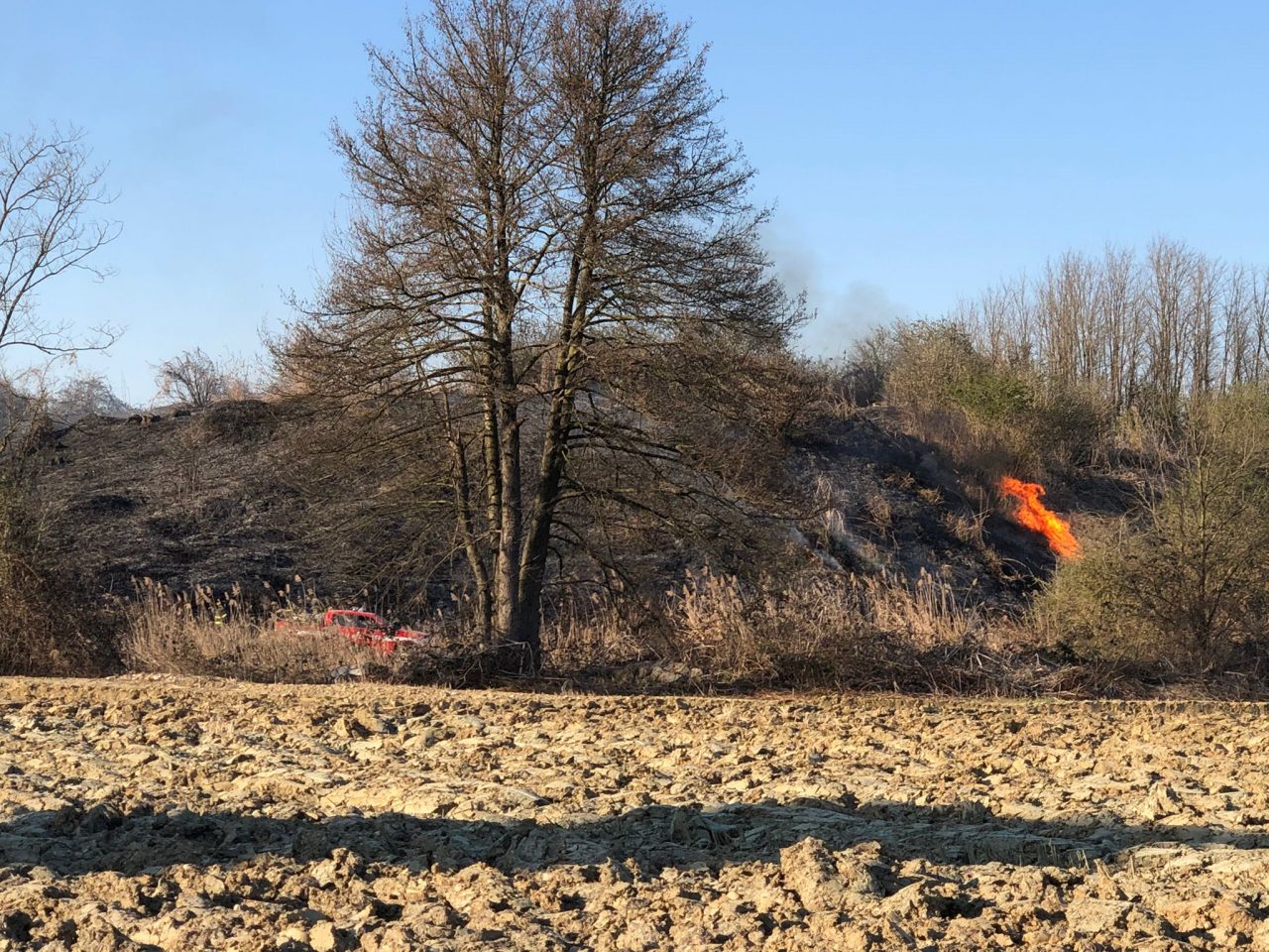 Incendio vicino al lago, potrebbe essere doloso LE FOTO