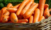 In regalo con La Nuova Periferia di Chivasso i semi di carota