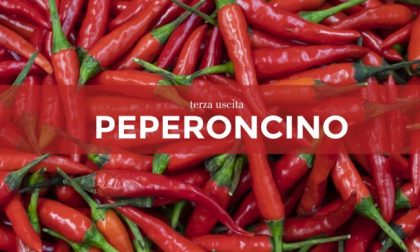 Tutti ortisti: in edicola con la Nuova Periferia i semi di peperoncino