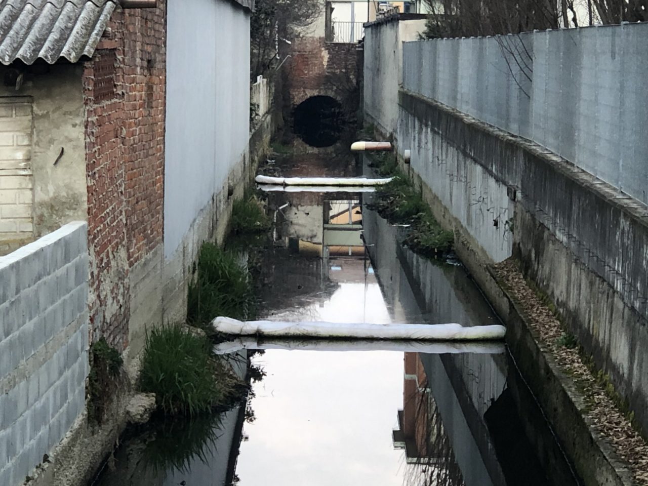 Scarichi abusivi nella Roggia San Marco