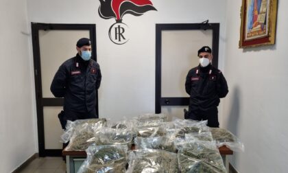 Compra un alloggio all’asta e lo trova pieno di marijuana