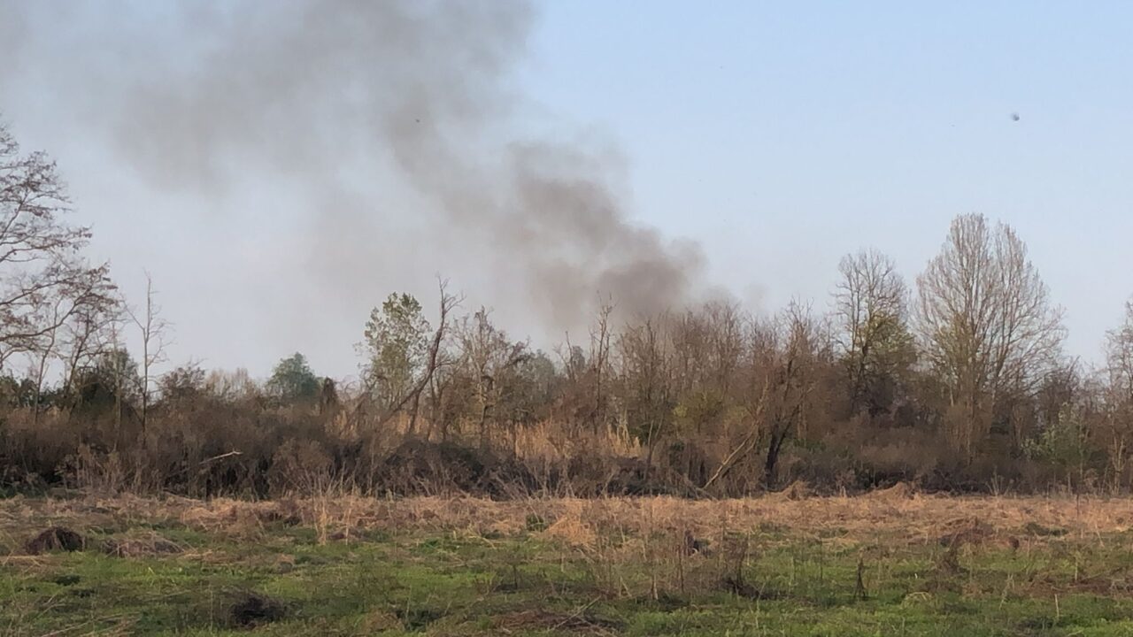 Incendi nel Parco del Po, caccia al piromane LE FOTO