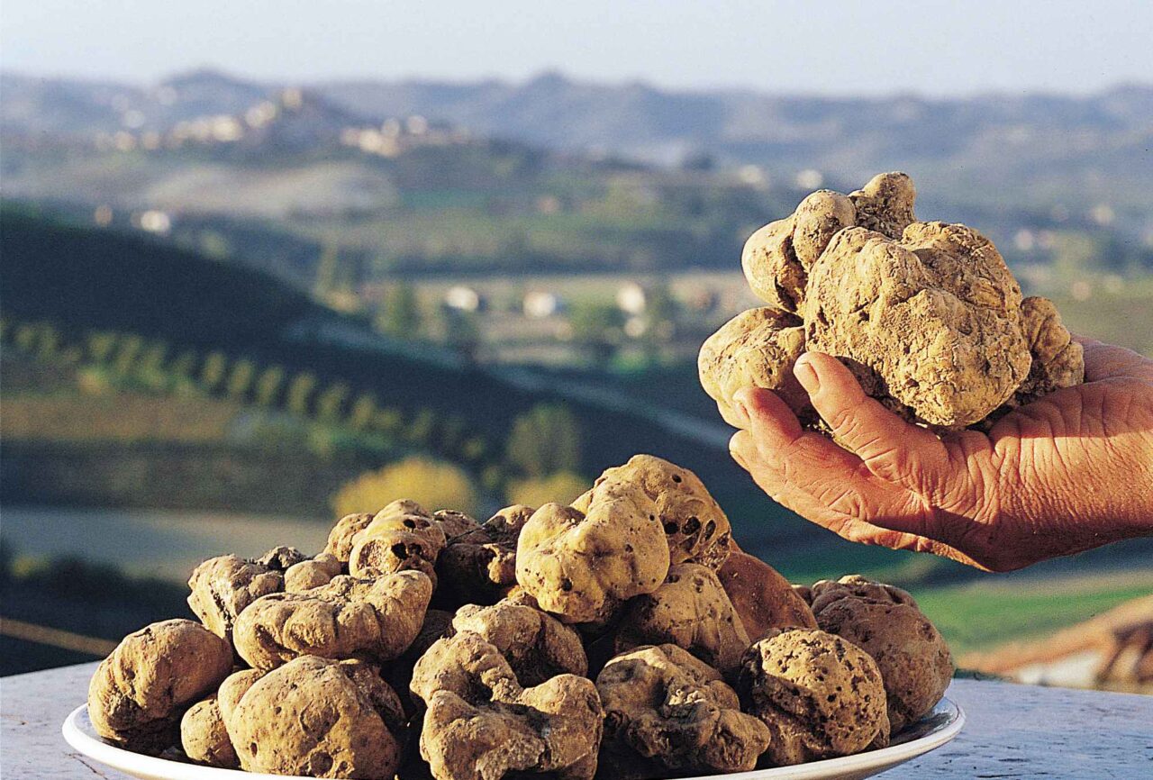 Il tartufo piemontese diventa patrimonio dell’Unesco
