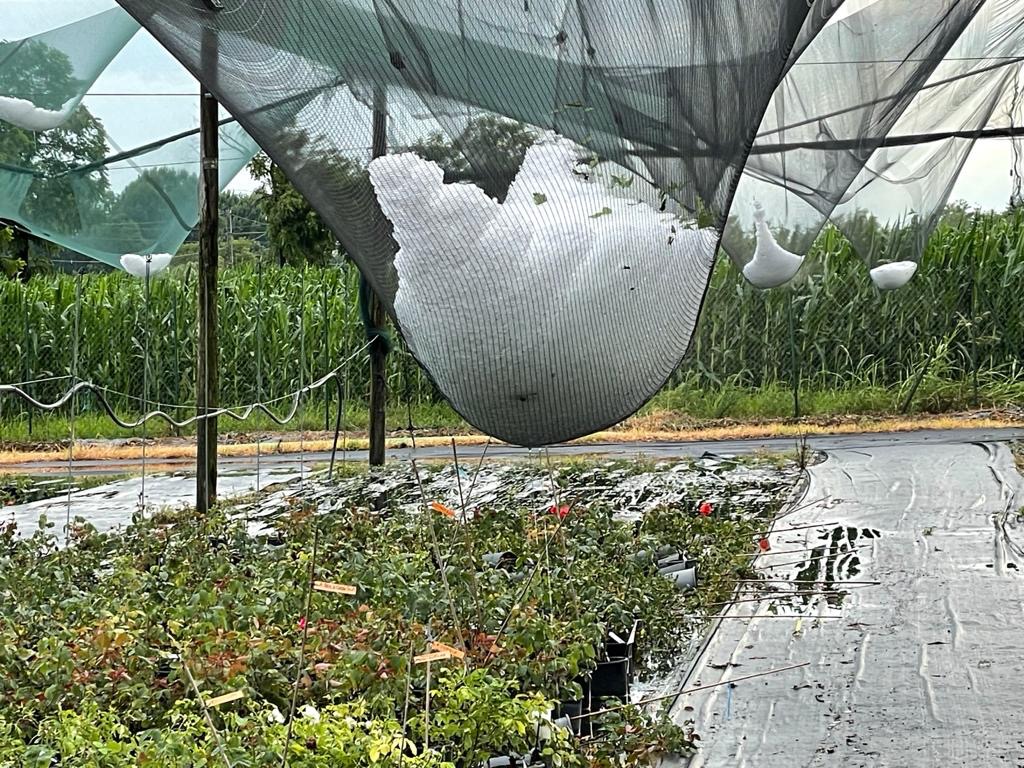 Tromba d’aria sul Chivassese, distrutti tutti i raccolti: il bilancio di Coldiretti