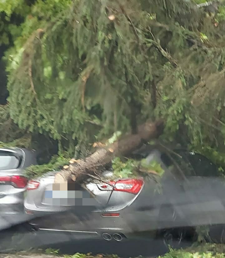 A Chivasso un albero colpisce una Maserati