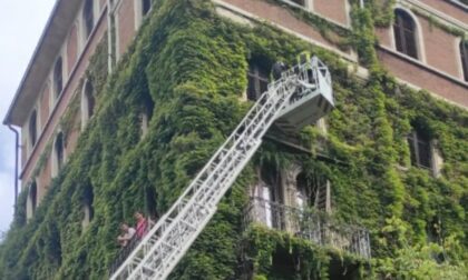 Gatto bloccato ai piani alti di un palazzo, arrivano i Vigili del Fuoco