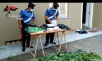 Pensionato-spacciatore  aveva 4,5 kg di marijuana un frigo