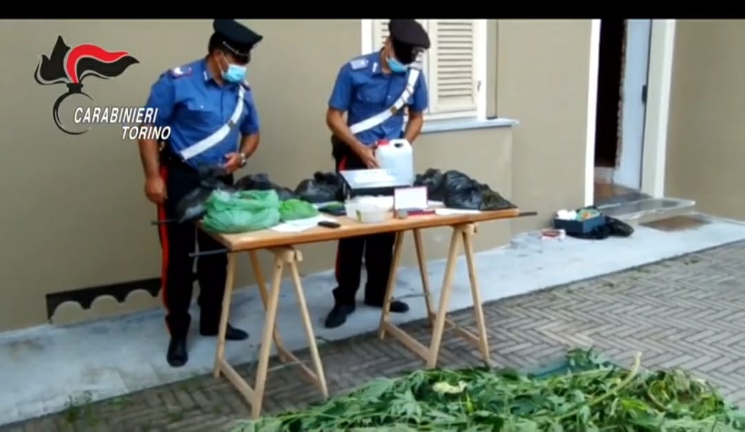 Pensionato-spacciatore  aveva 4,5 kg di marijuana un frigo