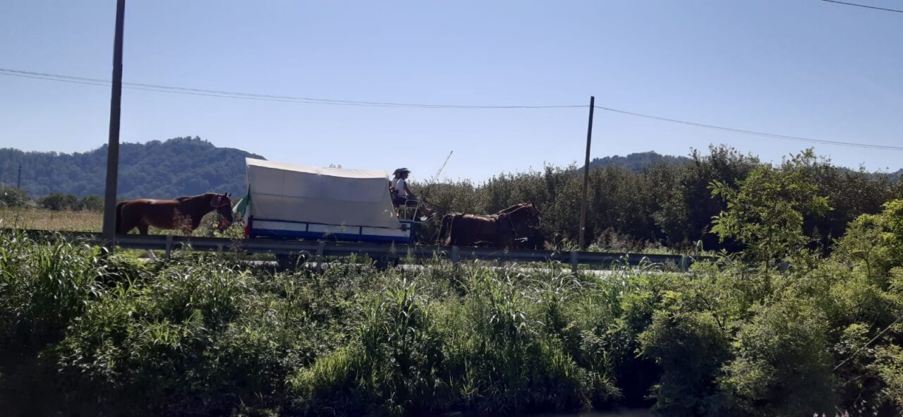 A spasso col calesse sulle Colline