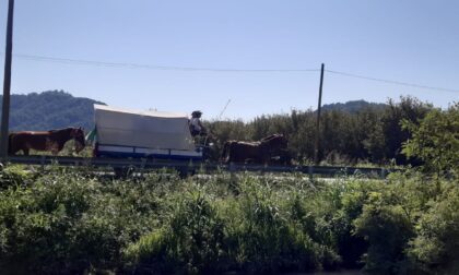 A spasso col calesse sulle Colline