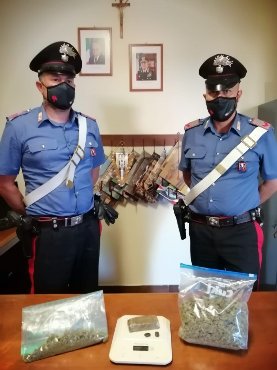 Coltivano marijuana nell’orto, denunciati